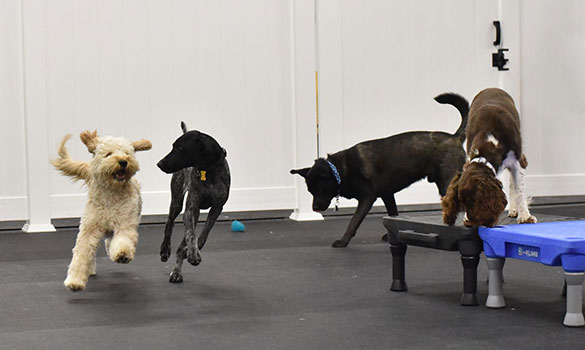 Daycare